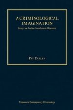 A Criminological Imagination