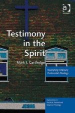 Testimony in the Spirit