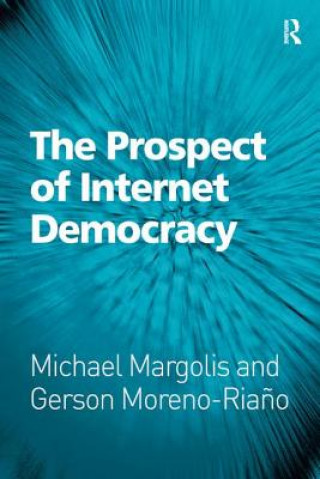 Prospect of Internet Democracy