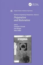 Resilience Engineering Perspectives, Volume 2