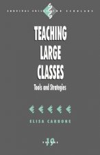 Teaching Large Classes