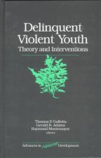 Delinquent Violent Youth