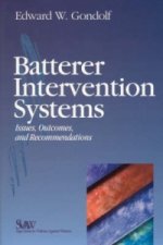 Batterer Intervention Systems