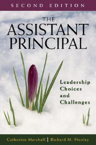 Assistant Principal
