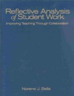Reflective Analysis of Student Work