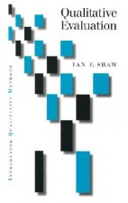 Qualitative Evaluation