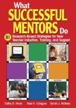 What Successful Mentors Do