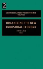 Organizing the New Industrial Economy