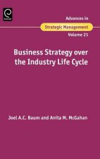 Business Strategy over the Industry Lifecycle