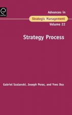 Strategy Process