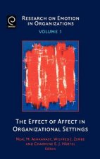 Effect of Affect in Organizational Settings