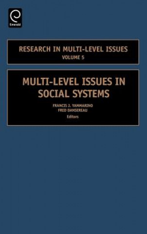 Multi-Level Issues in Social Systems