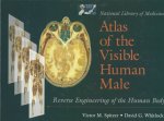 National Library Of Medicine Atlas Of The Visible Human Male: Reverse Engineering Of The Human Body