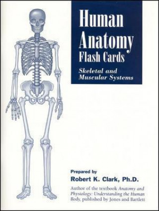 Human Anatomy Flash Cards: Skeletal And Muscular Systems