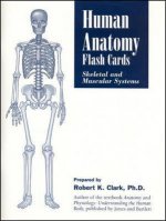 Human Anatomy Flash Cards: Skeletal And Muscular Systems