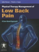 Physical Therapy Management Of Low Back Pain