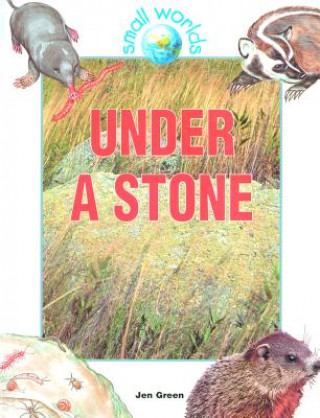 Under a Stone