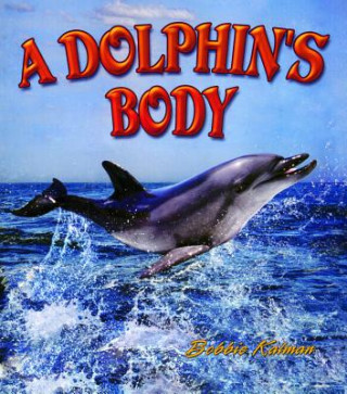 Dolphin's Body