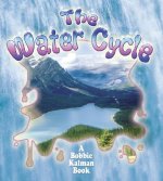 Water Cycle