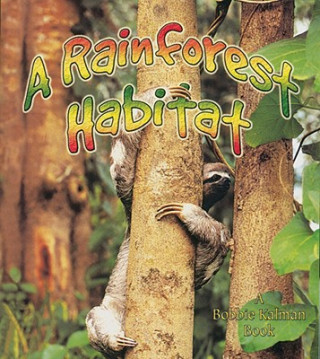 Rainforest Habitat