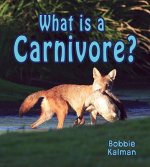 What is a Carnivore