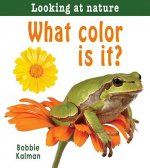 What Color is It?