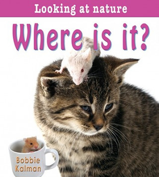 Where is It?