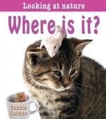 Where is It?
