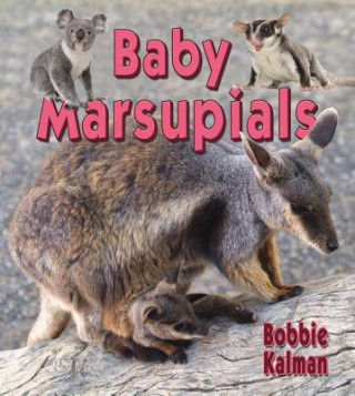 Baby Marsupials