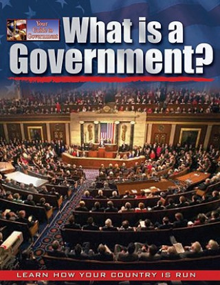 What is a Government?