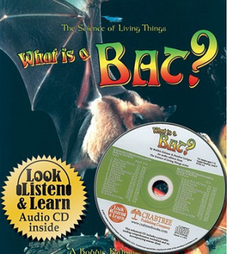 What is a Bat?