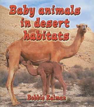 Baby Animals in Desert Habitats