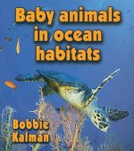 Baby Animals in Ocean Habitats