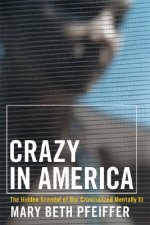 Crazy in America