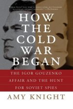 How the Cold War Began