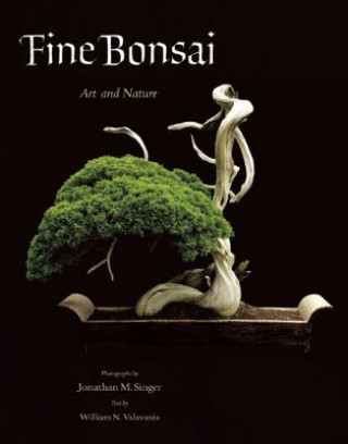 Fine Bonsai