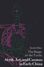 Shape of the Turtle