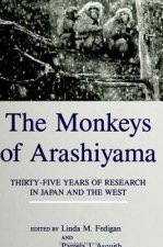 Monkeys of Arashiyama