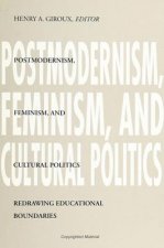 Postmodernism, Feminism and Cultural Politics