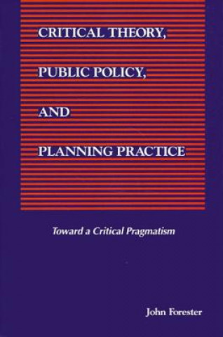 Critical Theory, Public Policy and Planning Practice