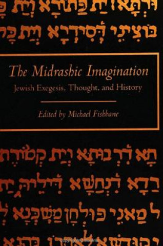 Midrashic Imagination