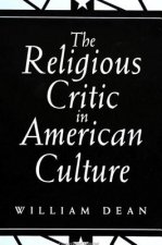 Religious Critic in American Culture