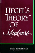 Hegel's Theory of Madness