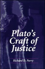 Plato's Craft of Justice