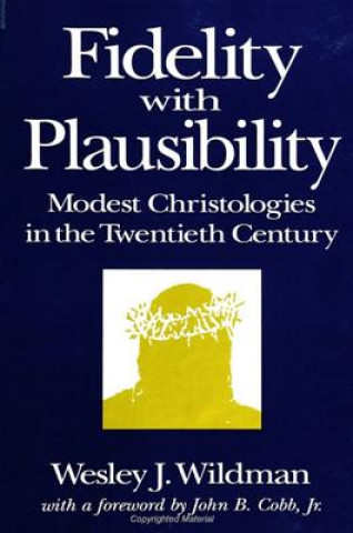 Fidelity with Plausibility