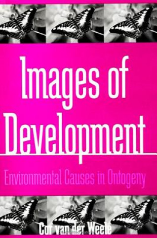 Images of Development