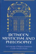 Between Mysticism and Philosophy