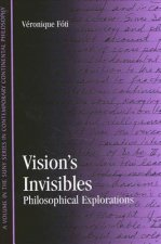 Vision's Invisibles CB