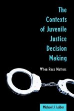 Contexts of Juvenile Justice Decision Making