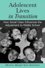 Adolescent Lives in Transition